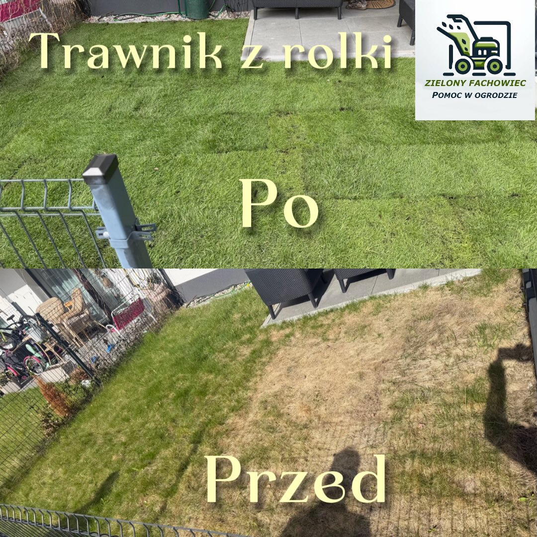 Przygotowanie terenu pod trawnik - zdjęcie 3